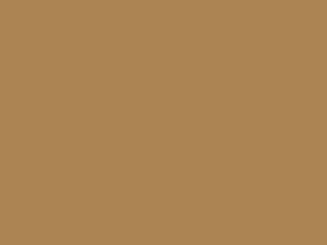 Light Tan touch-up paint for Chrysler, code AC10670, S70, 1982