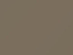 Light Sandalwood touch-up paint for Ford, code 8R, M6170A, 1988