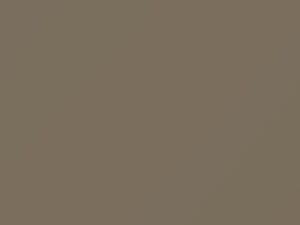 Light Sandalwood touch-up paint for Ford, code 8R, M6170A, 1988
