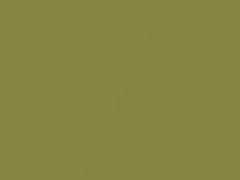Mercedes-Benz Citrus Green Metallic touch up paint 874 1979 All Models