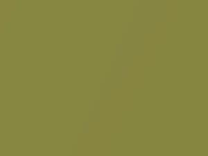 Mercedes-Benz Citrus Green Metallic touch up paint 874 1978 All Models