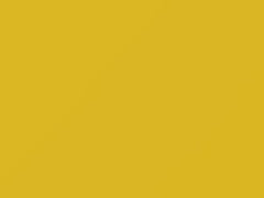 Yellow touch-up paint for Nissan, code 337, 1988