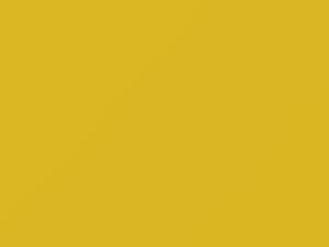 Yellow touch-up paint for Nissan, code 337, 1988