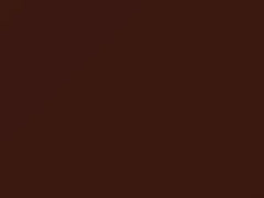 Dark Reddish Brown Metallic touch-up paint for Nissan, code 447, 1987
