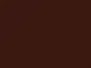 Dark Reddish Brown Metallic touch-up paint for Nissan, code 447, 1987
