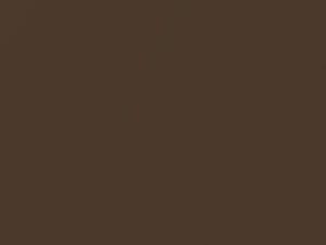 Nutmeg Brown Metallic touch-up paint for Porsche, code L492, 1986