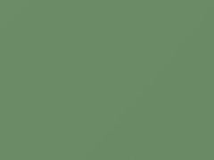 April Green touch-up paint for Ford, code G, M1014A, 1959
