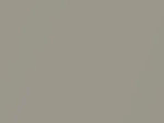 Pewter Silver Metallic touch-up paint for Amc, code E5A, 1973