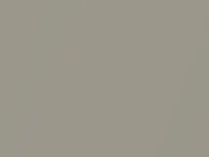 Pewter Silver Metallic touch-up paint for Amc, code E5A, 1973