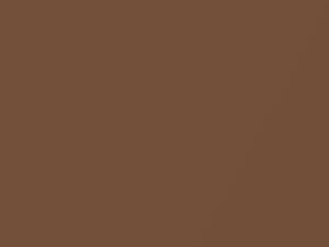 Bronze Metallic touch-up paint for Datsun, code 324, 1980