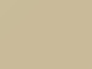 Pearl White touch-up paint for Mitsubishi Cedia, code AC10461, W61, 2009