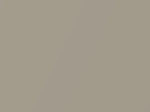 Silver Beige Metallic touch-up paint for Isuzu, code 2192P1, 1985