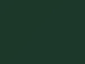 Dragon Green touch-up paint for Datsun, code 558, 1973