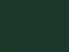 Dragon Green touch-up paint for Datsun, code 558, 1973