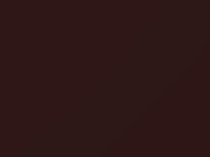 Russet Brown touch-up paint for Chevrolet, code 668, 1955