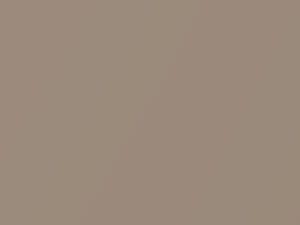 Light Fawn Metallic touch-up paint for Mercury, code 5H, M5730A, 1981