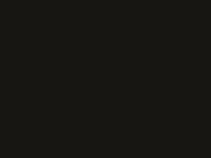 Audi Havanna Black Metallic touch up paint 4J 2012 S8