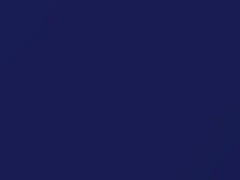 Mercedes-Benz Midnight Blue Mica touch up paint 5571 2011 All Models