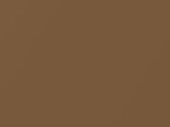 Light Beechwood Metallic touch-up paint for Oldsmobile, code 62, 9089, WA9089, 1991