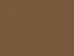 Light Beechwood Metallic touch-up paint for Oldsmobile, code 62, 9089, WA9089, 1991
