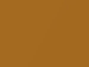 Sahara Gold Metallic touch-up paint for Lotus Lotus, code B69, 2011