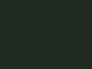 Oak Green Metallic touch-up paint for Porsche, code 22L, 23G, 1994