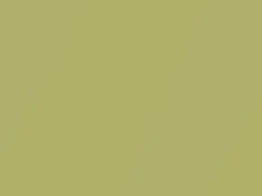 Mercedes-Benz Citron Green Metallic touch up paint 6800 2003 All Models