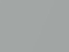 Light Gray Metallic touch-up paint for Daihatsu, code S19, 1995