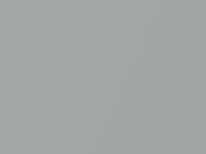 Light Gray Metallic touch-up paint for Daihatsu, code S19, 1995