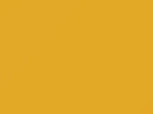 BMW Dakar Yellow II touch up paint 337 2019 All Models