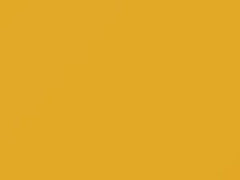 BMW M Series Dakar Yellow II touch up paint 337 2019 M-Series