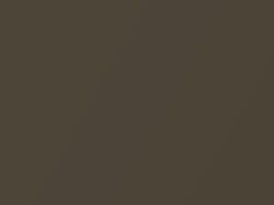 BMW Messing Metallic touch up paint 621 2007 All Models
