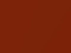 Chilli Orange Mica touch-up paint for Ford, code 33J, BJR, CO, WVN, 2010