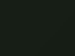 Coniston Green touch-up paint for Land Rover Discovery, code 570, HYE, 1999