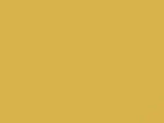 Blaze Yellow touch-up paint for Subaru Impreza, code 797, 2002