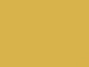 Blaze Yellow touch-up paint for Subaru Impreza, code 797, 2002