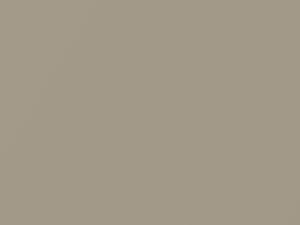 Champagne Gold Metallic touch-up paint for Daewoo, code CG1, CGI, 1999