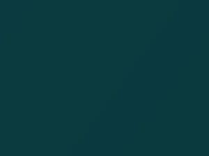 Everglade Green Metallic touch-up paint for Capri, code SF, 1993