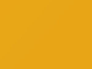 Volkswagen Double Yellow touch up paint A6 2019 All Models