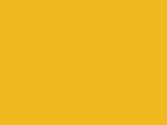 Audi Citrus Yellow touch up paint LY1G 2008 All Models