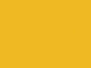 Audi Citrus Yellow touch up paint LY1G 2007 A3