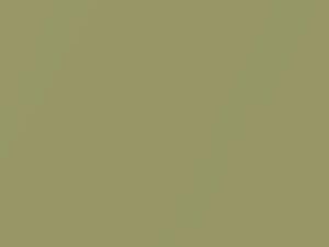 Light Kiwi Pearl touch-up paint for Dodge Full Pickup, code DT9304, F4, PF4, SF4, 1996