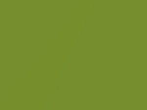 Electrolyte Green Metallic touch-up paint for Hyundai Veloster, code VE9, 2011