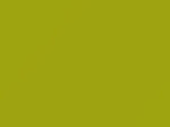 Lime touch-up paint for Kia, code ALM, 2010