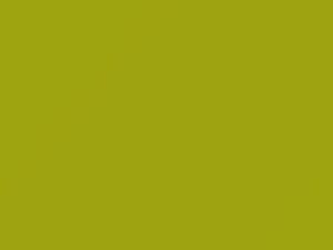 Lime touch-up paint for Kia, code ALM, 2010