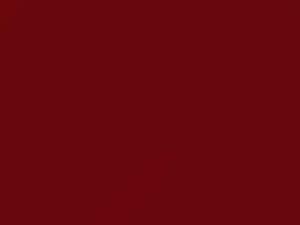 Red touch-up paint for Nissan, code AG2, 1996