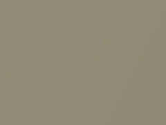 Desert Wind Metallic touch-up paint for Volvo V40, code 344, 2001