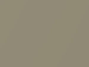 Desert Wind Metallic touch-up paint for Volvo V40, code 344, 2001
