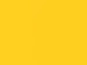 Lightning Yellow Metallic touch-up paint for Lotus, code B83, 2002