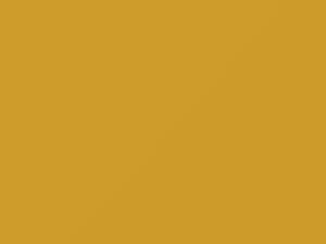 Mercedes-Benz Sun Yellow touch up paint 1680 2011 All Models